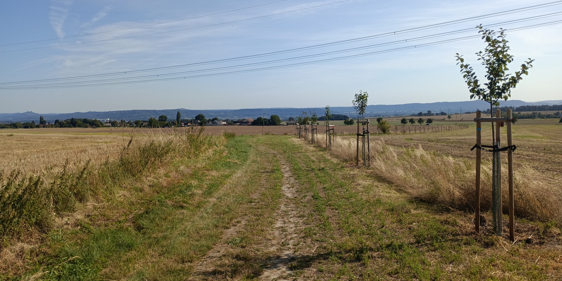 Stromořadí mezi Žďárkem a Odolenovicemi u Jenišovic