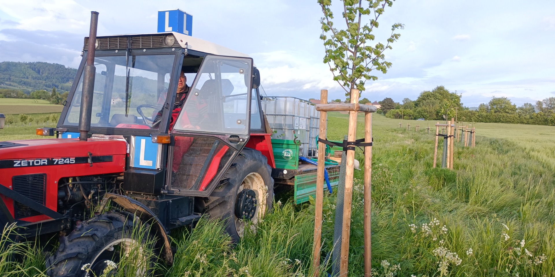 Zálivka remízku u Volavce
